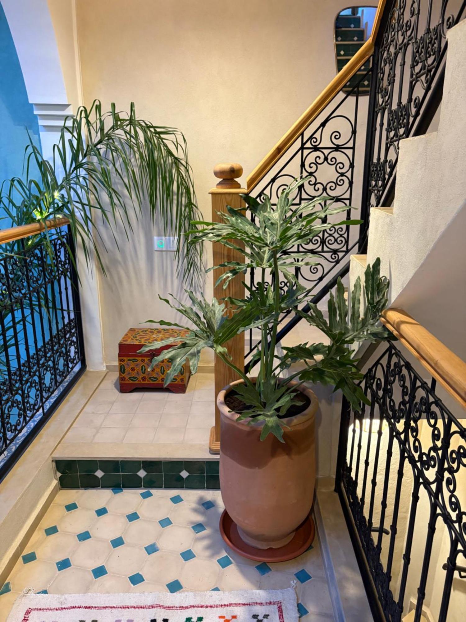 Riad212 Private Medina Fast Wi-Fi Plunge Pool 마라케시 외부 사진